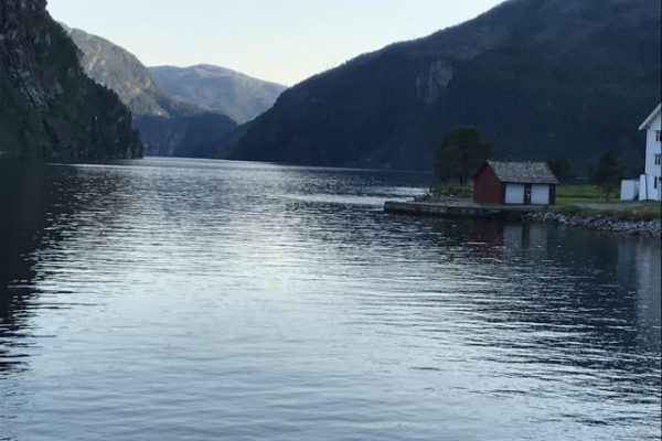 IMG_0500 IMG_0500